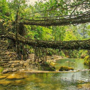 Northeast India Travel